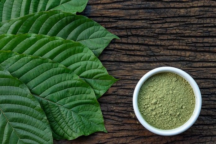 How to Take Kratom: What You Should and Shouldn’t Do – A Complete Guide