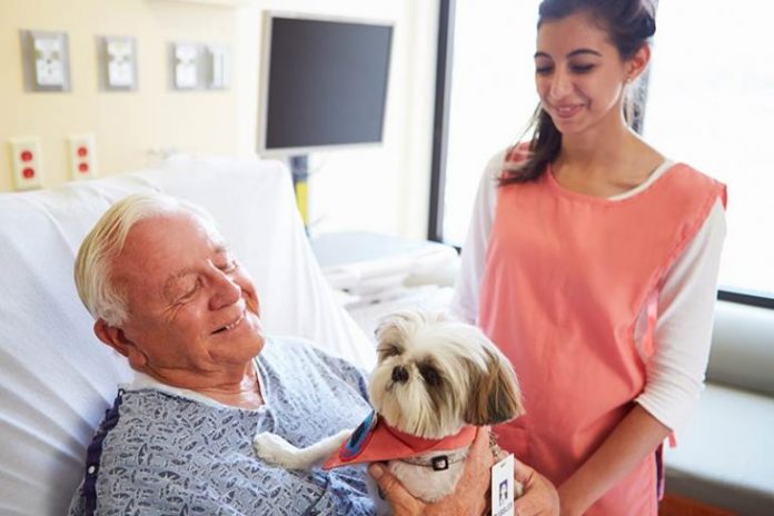 Therapy-Dogs-can-Improve-Your-Mental-Physical-Health