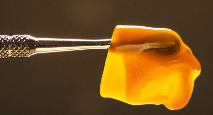 Cannabis Concentrates: Everything You Need to Know