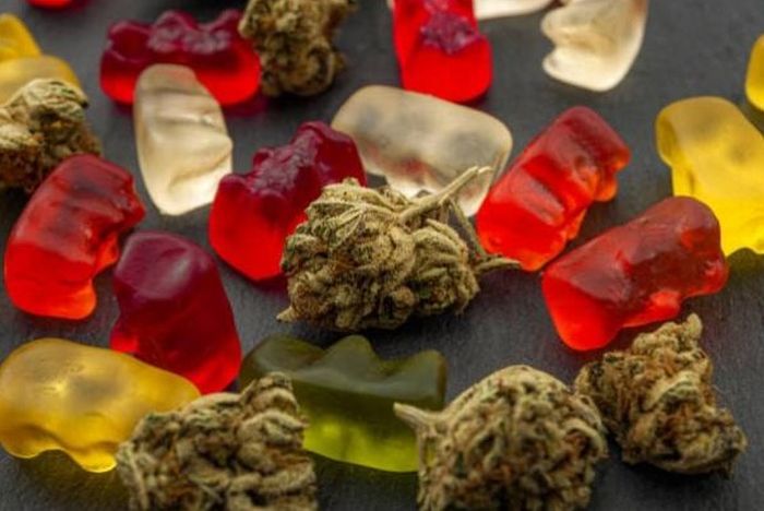 How to Stay Safe: A Guide to Avoiding the Dangers of Synthetic Cannabis Edibles
