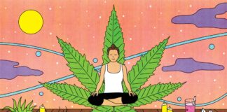 Weed and Wellness-The Positive Impact of Cannabis on Health and Lifestyle